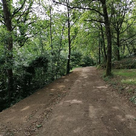 Hotel Quinta Mata Da Se Miranda do Corvo Zewnętrze zdjęcie