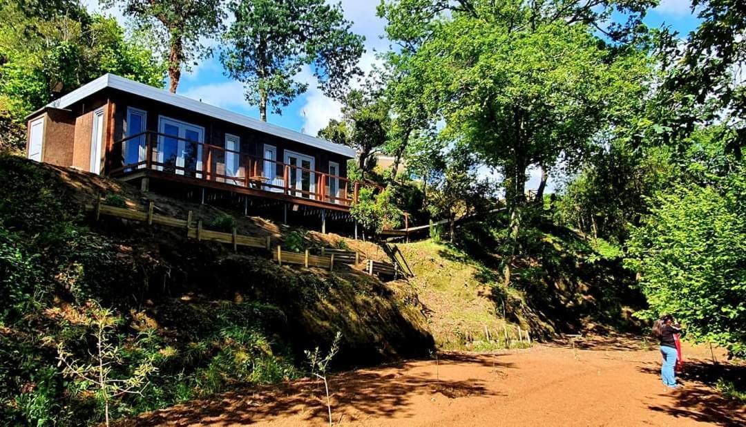 Hotel Quinta Mata Da Se Miranda do Corvo Zewnętrze zdjęcie